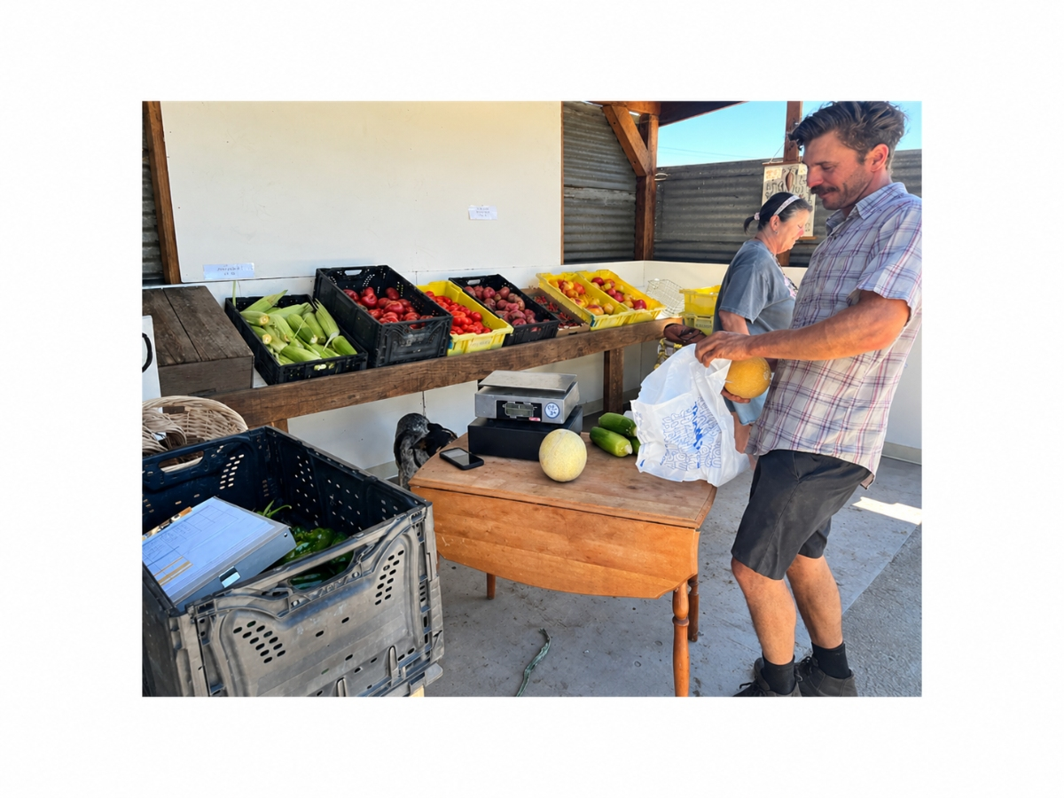 Local Ventures: Tookey Farms' Westside Road Farm Stand