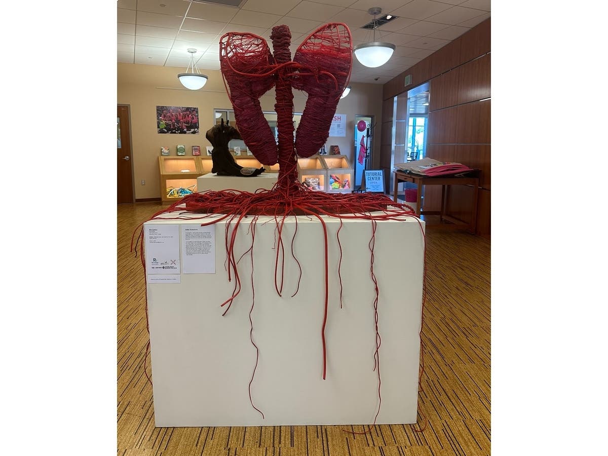 "Absorption" (above) by Kara McHale is made from items tossed into recycling bins with good intentions now getting a second life on gallery walls at a new exhibit opening Thursday at Santa Rosa Junior College’s Petaluma Campus.