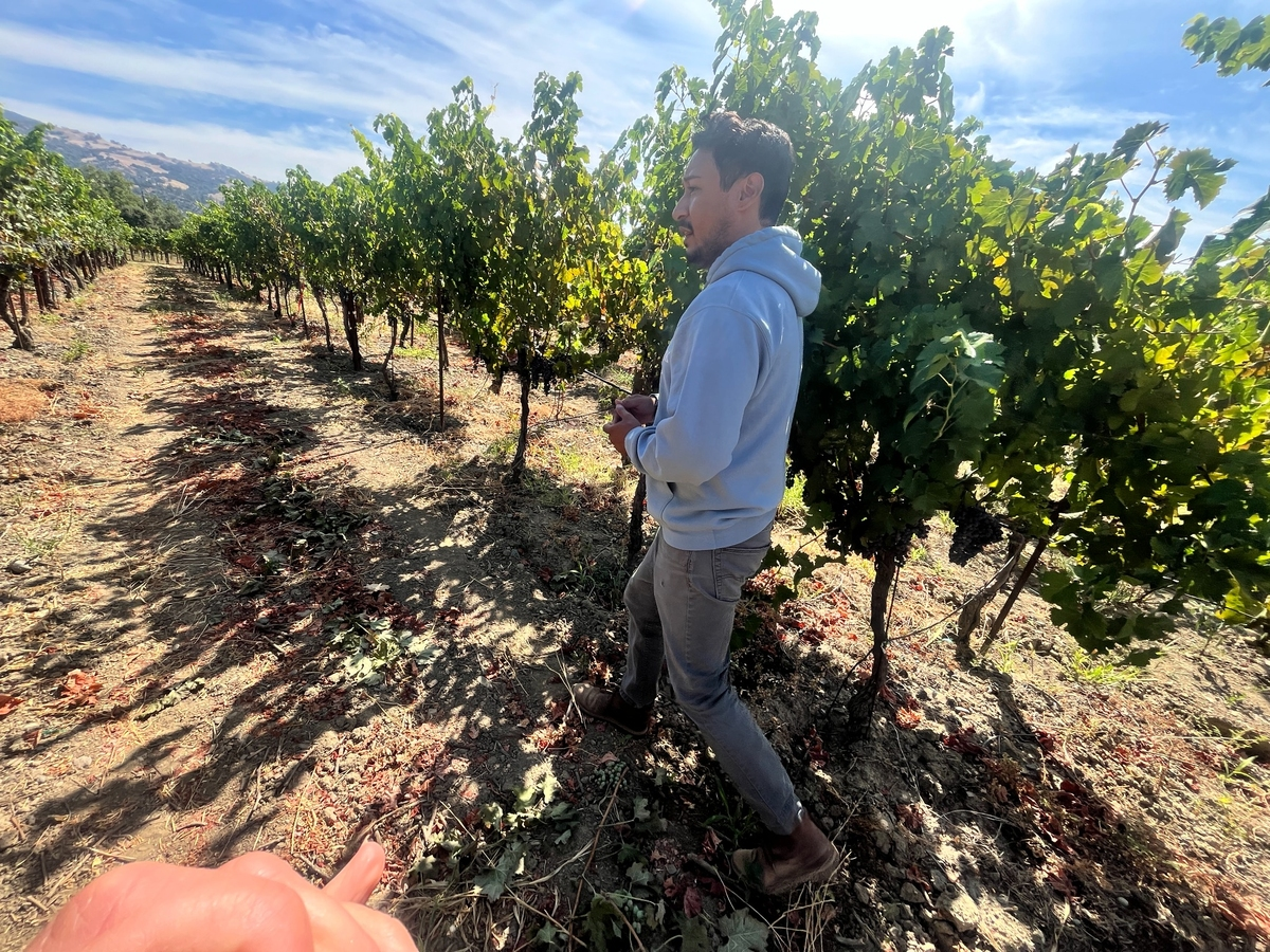https://patch.com/img/cdn20/users/27173486/20260827/031453/styles/patch_image/public/flopezvineyards-plated___27151038215.png