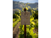 A Lopez Family Vineyards sign marks Petit Verdot, Clone 400, among the grape varieties the Geyserville family has planted as it diversifies its vineyard.