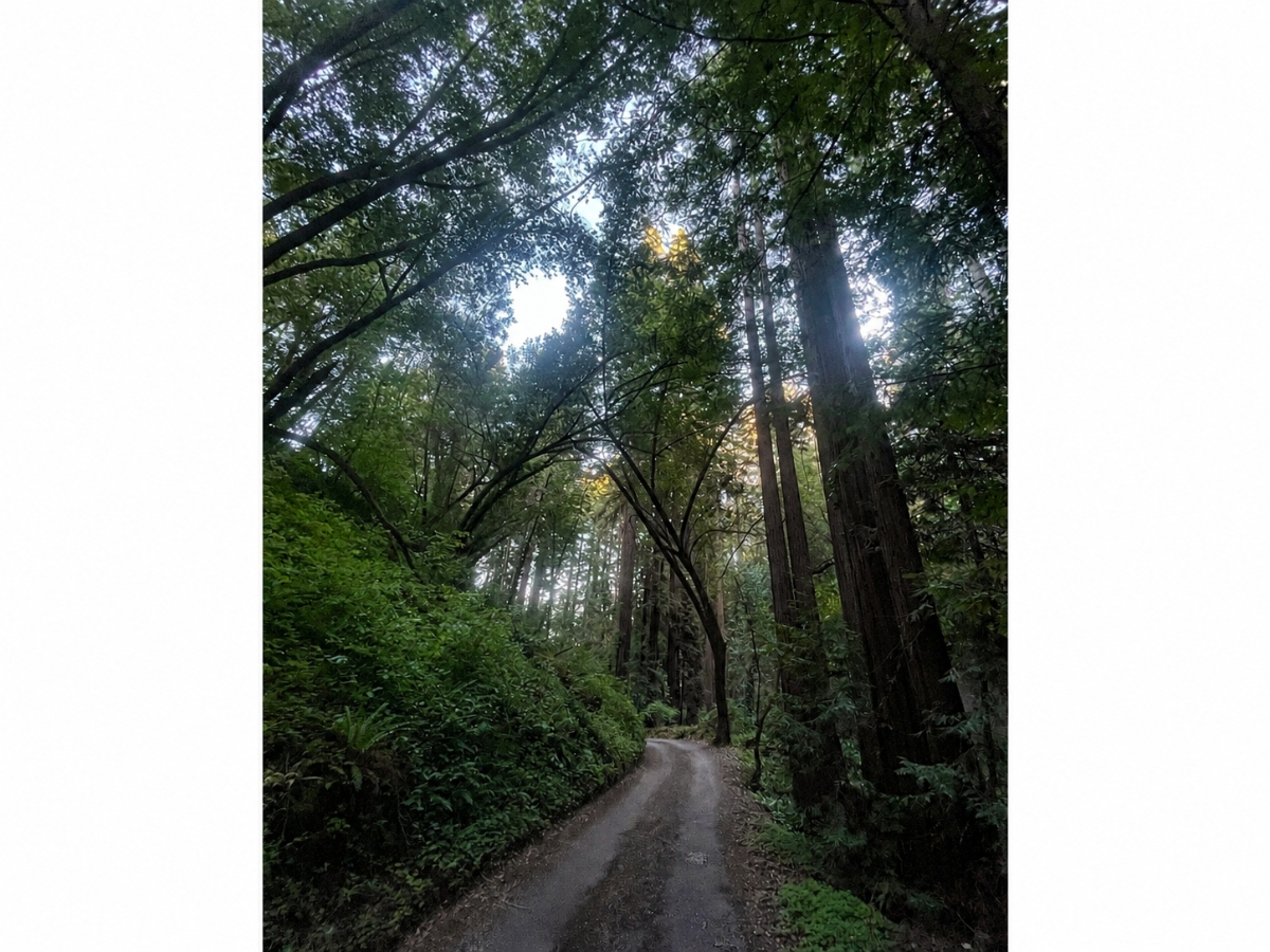Lafayette’s Trails Subcommittee will review trail projects, maintenance issues, easements, and proposed trail markers Tuesday.