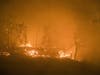 The devastating 2017 Atlas Fire tears through a structure that burned to the ground. The Signorello winery, one of the many businesses destroyed by the fire, rebuilt but struggling to rebound now confronts a lender, a courthouse auction, and bankruptcy. 