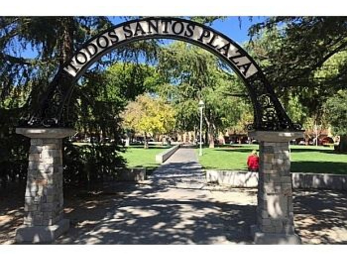 Performers, dancers, musicians, and vendors will fill Todos Santos Plaza during a new  celebration on Sept. 11. 
