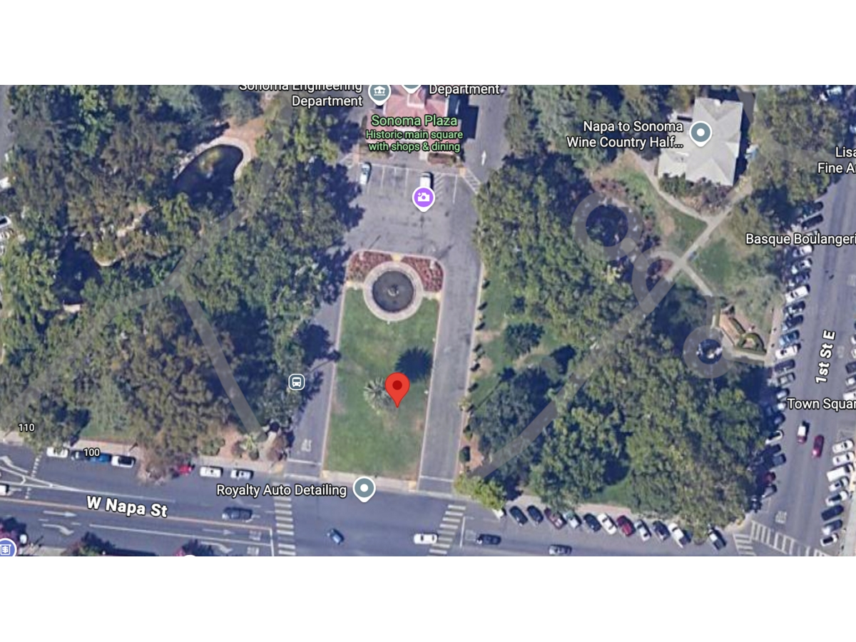 Several potential witnesses left before police and firefighters arrived to investigate an incident that left a man found in the Sonoma plaza near First Street with serious injuries, investigators said.