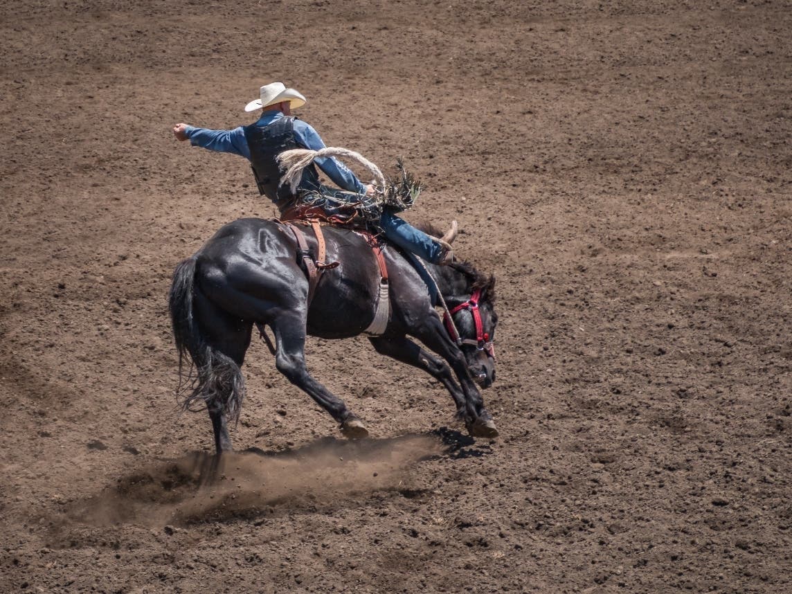 Posh Vintage Rodeo Postpones Debut At Calistoga Fairgrounds