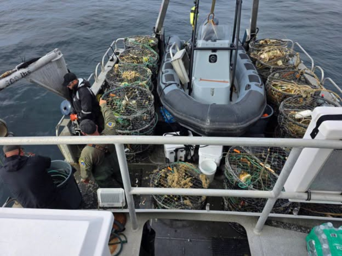 Wildlife officers uncovered hundreds of abandoned traps off two Northern California rivers after separate fishing seasons.