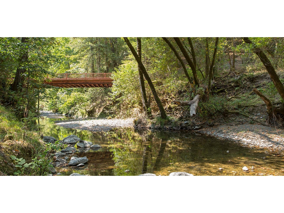 Get a sneak peek at the future Mark West Creek Regional Park and Preserve before it opens to the public.
