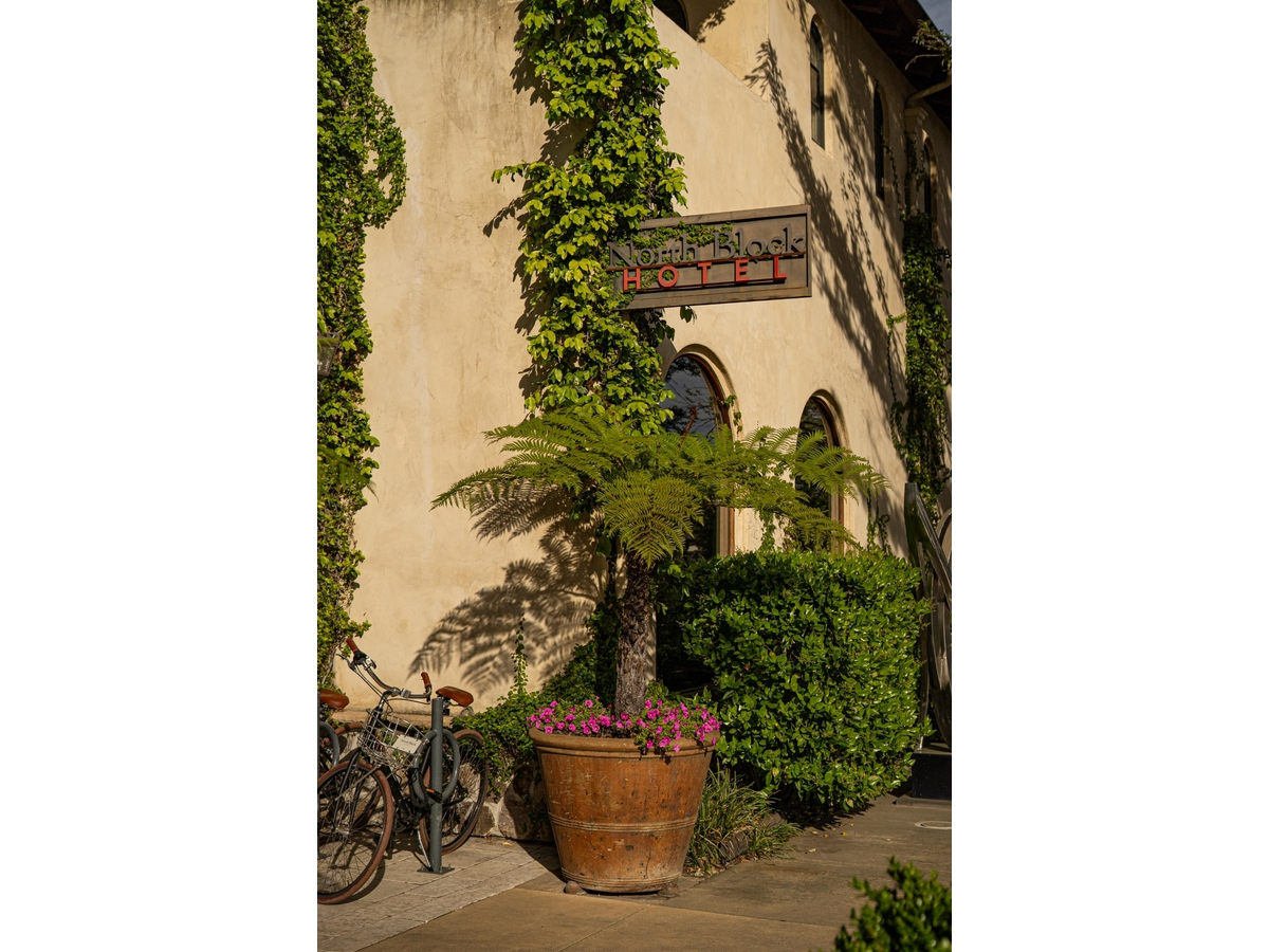 https://patch.com/img/cdn20/users/27173486/20260918/072339/styles/patch_image/public/north-block-yountville-patch-key-art___18191903920.png