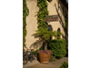 Private patios, fire features, handmade pasta, and wine-country hospitality helped sustain the boutique hotel’s Michelin streak.
