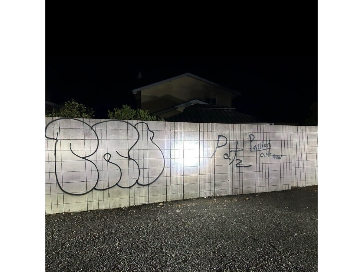 Officers reported finding three spray-paint cans in a teen’s backpack and fresh paint on his hand.