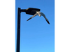 Napa firefighters helped free a young gull stranded in a parking lot after a fishhook became embedded in the bird's foot. 