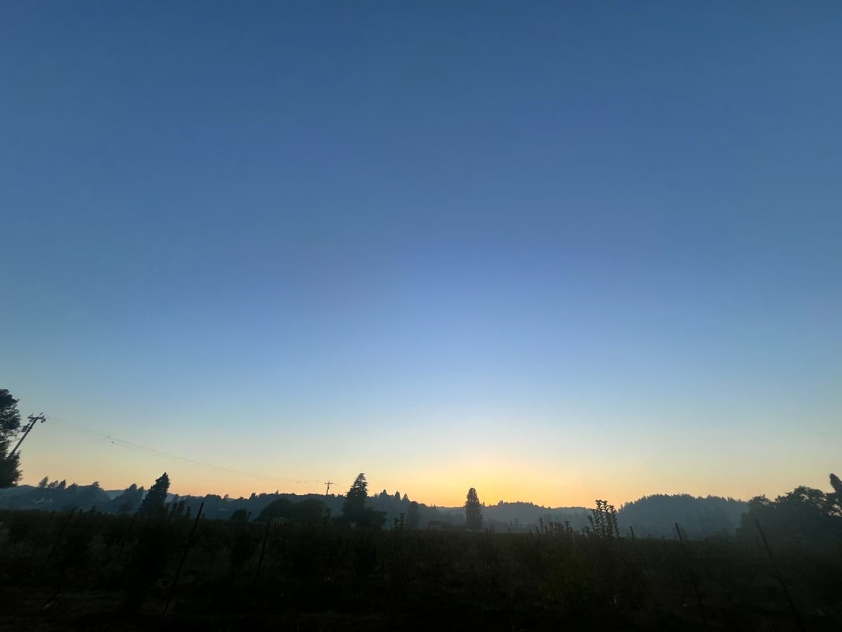 Control burns on the Sonoma Coast are causing heavy smoke and red skies visible across western parts of the county, from Petaluma to Healdsburg. 