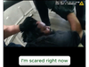 San Francisco Police Department bodycam footage captures Kevon Gibson (above) during an arrest that left him hospitalized, according to the San Francisco Public Defender Office. 