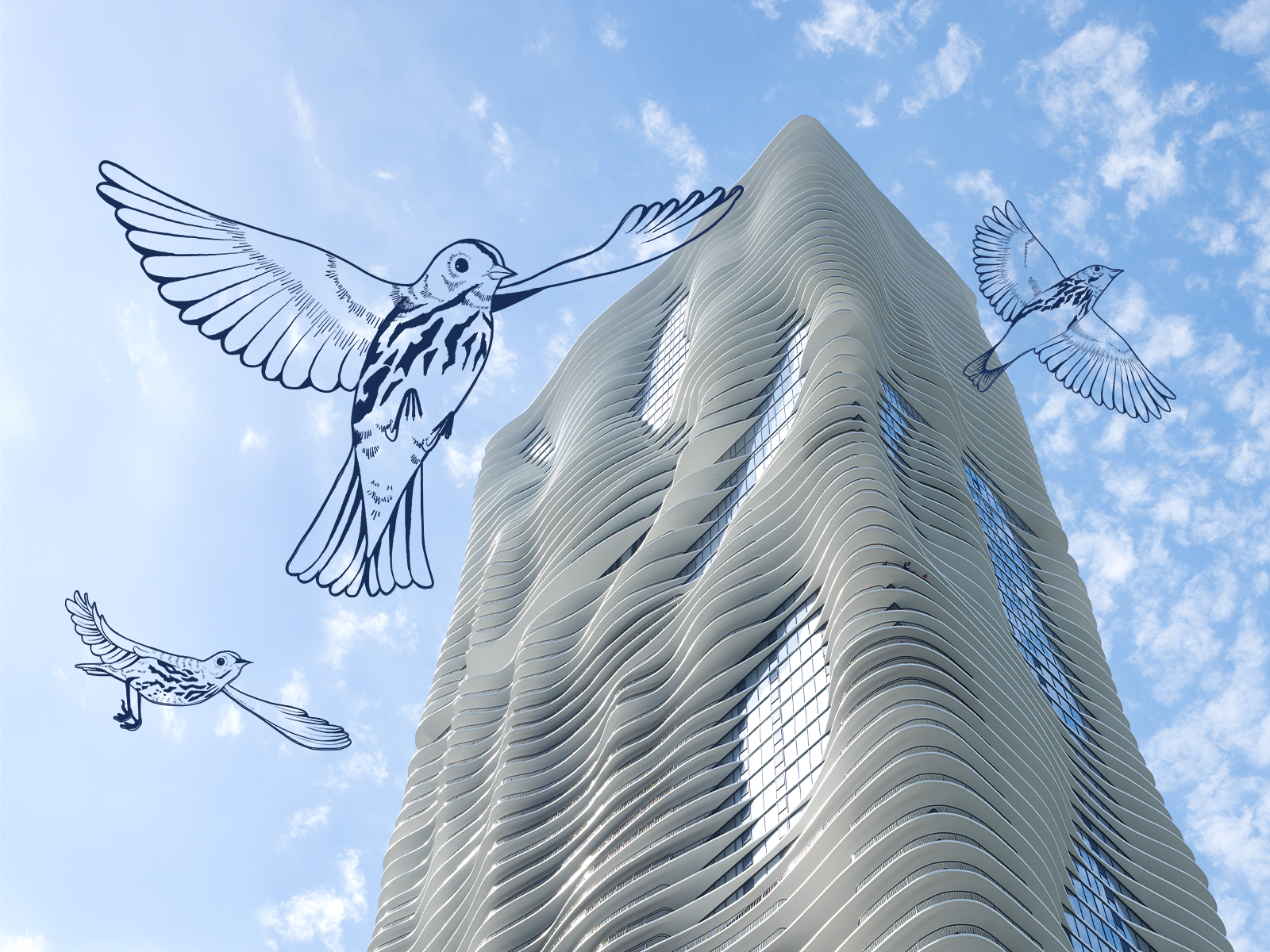 Flyway City: Architecture for a Flourishing Ecosystem