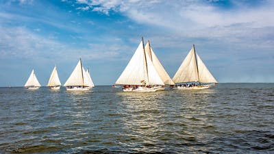 Skipjack Heritage Days at Maryland Seafood Festival