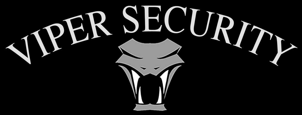 Viper Security Inc