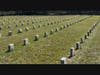 Some of the 1013 headstones cleaned by Karen Bliss and Laura Miller of the Col. Josiah Smith Chapter NSDAR 