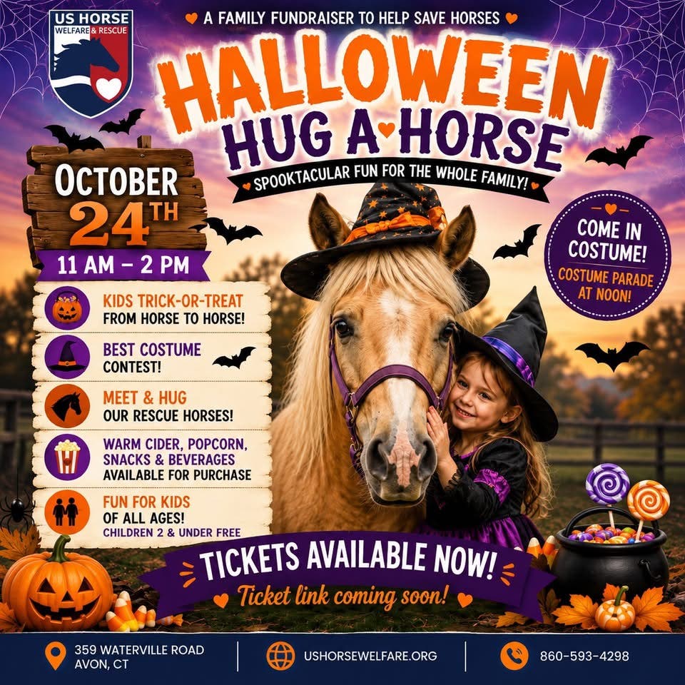 Halloween Hug A Horse
