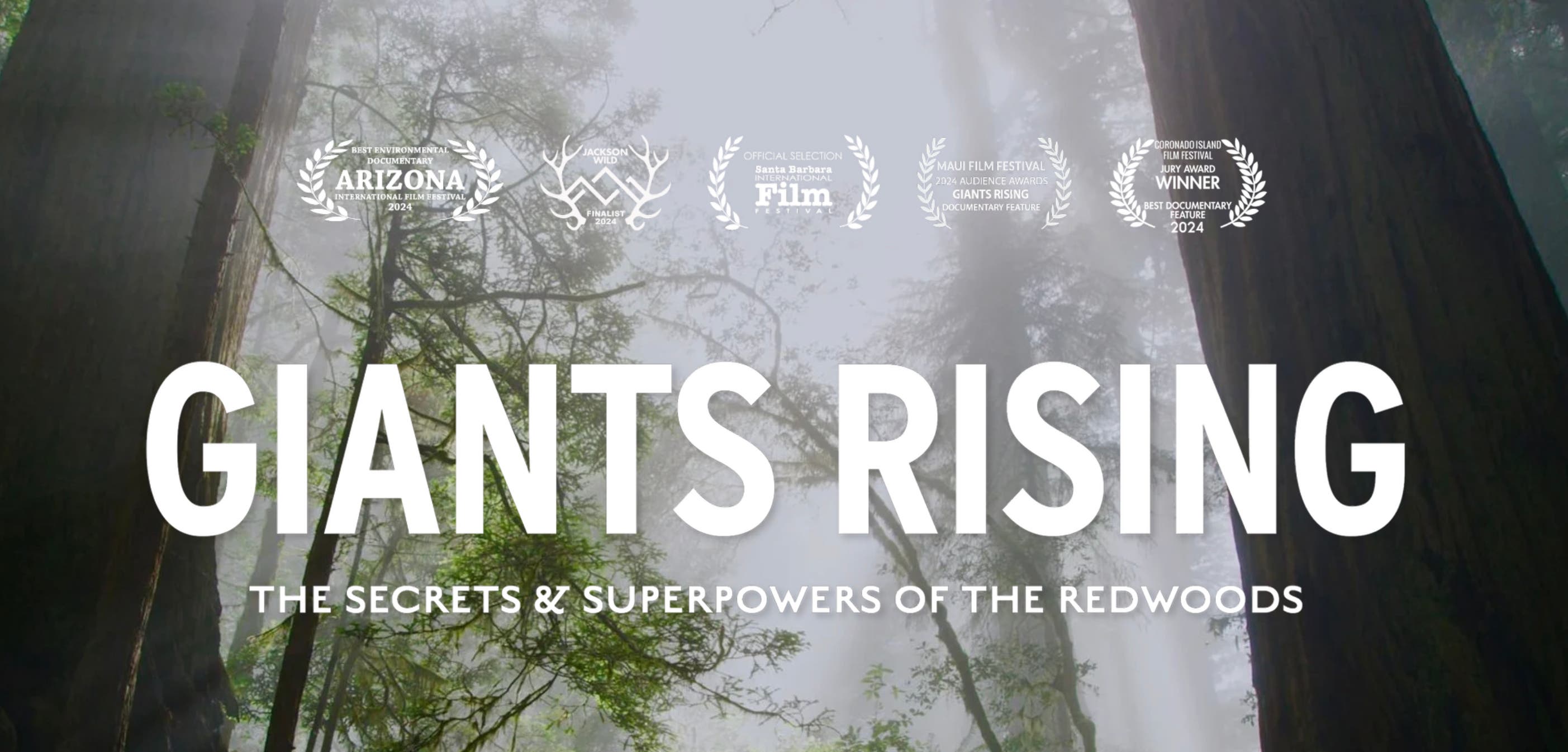 Giants Rising: Film Screening in the Redwood Grove