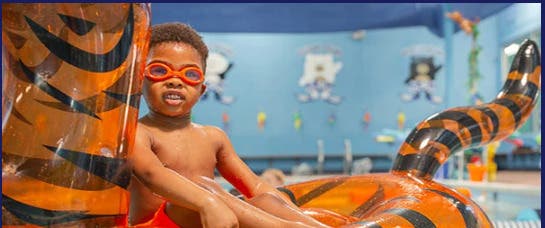Bear Paddle Swim School
