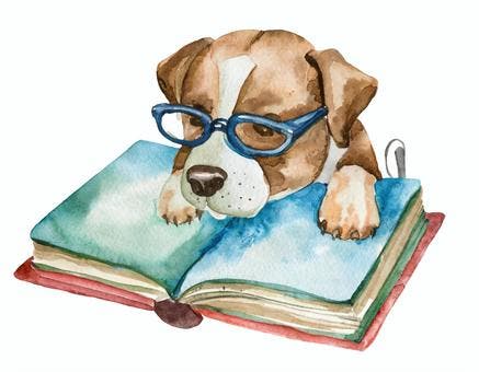 Afternoon Adventures - Read to the Dogs at the West Long Branch Library! 