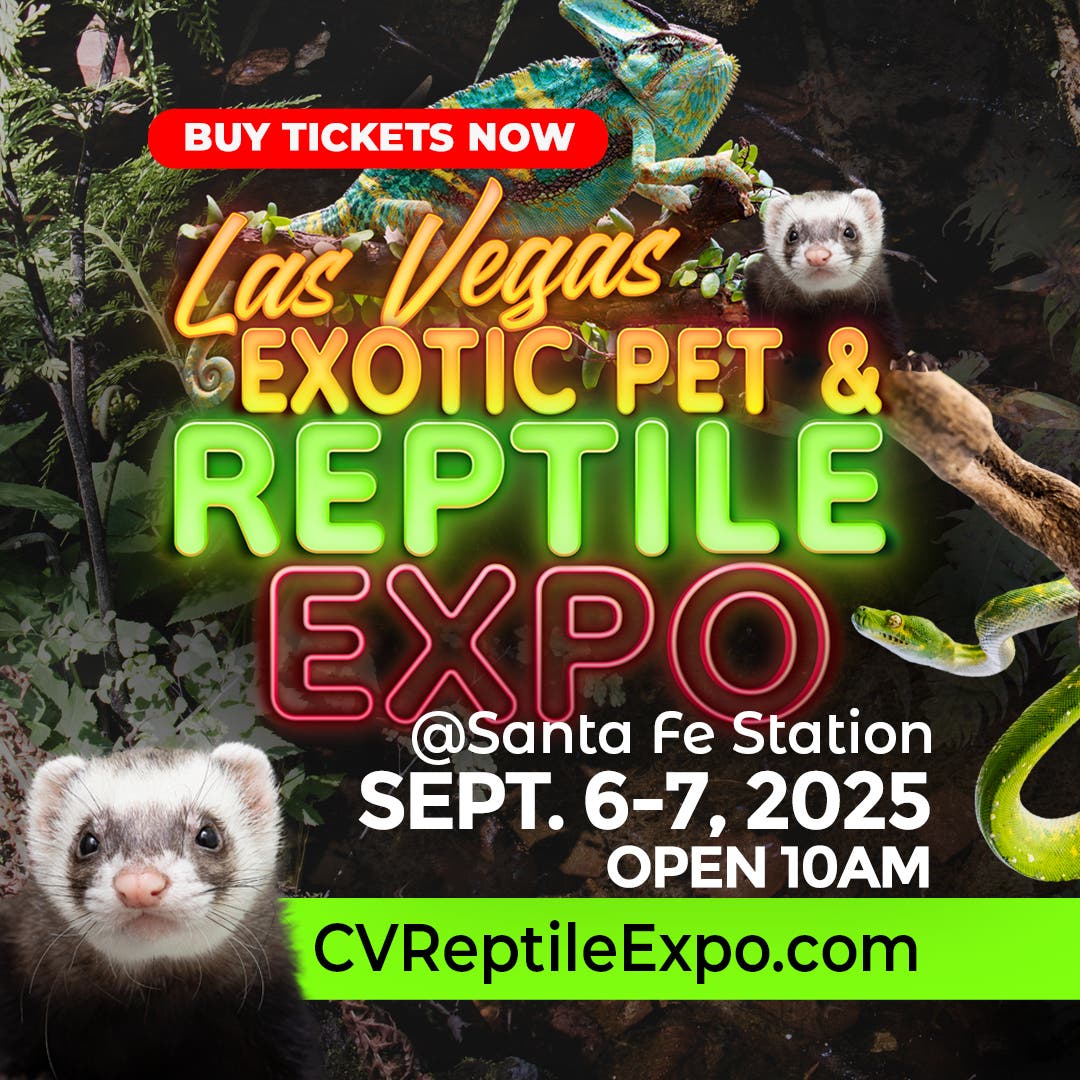 Las Vegas Exotic Pet & Reptile Expo - September 6–7, 2025