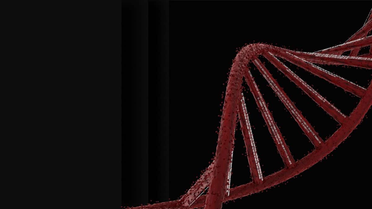 DNA Digital Group LLC