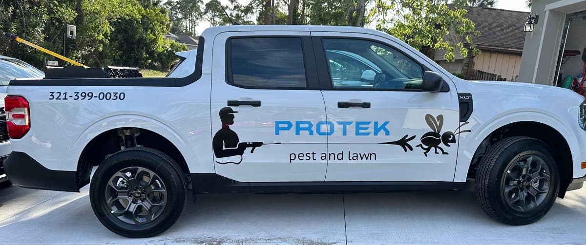 Protek Pest and Lawn Services