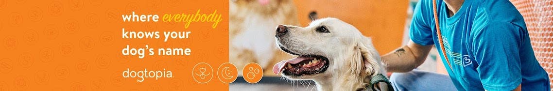 Dogtopia of Columbus - Dublin