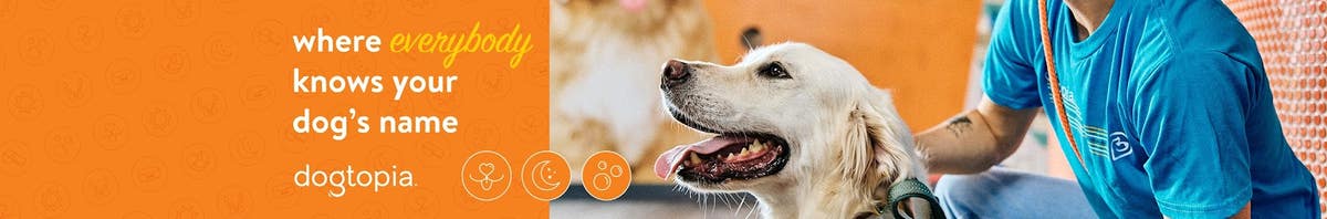 Dogtopia of Cedar Mill