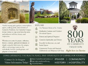 Carmelite Campus in Darien