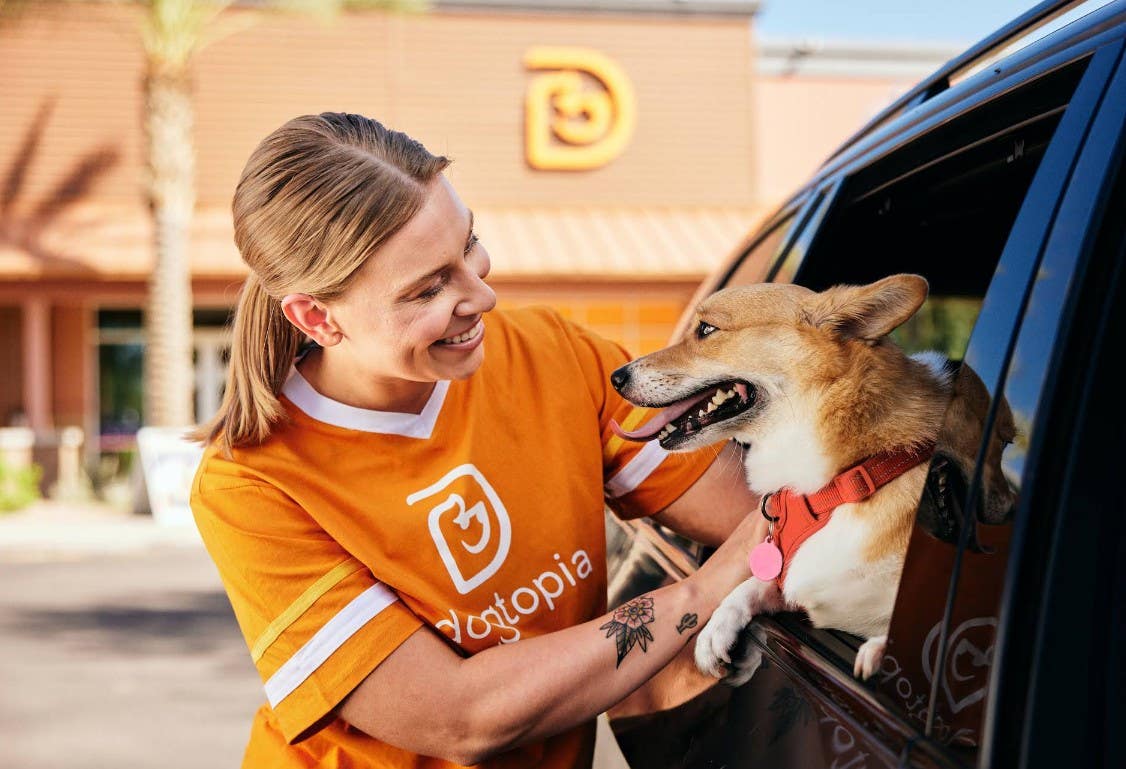 Dogtopia of Daybreak
