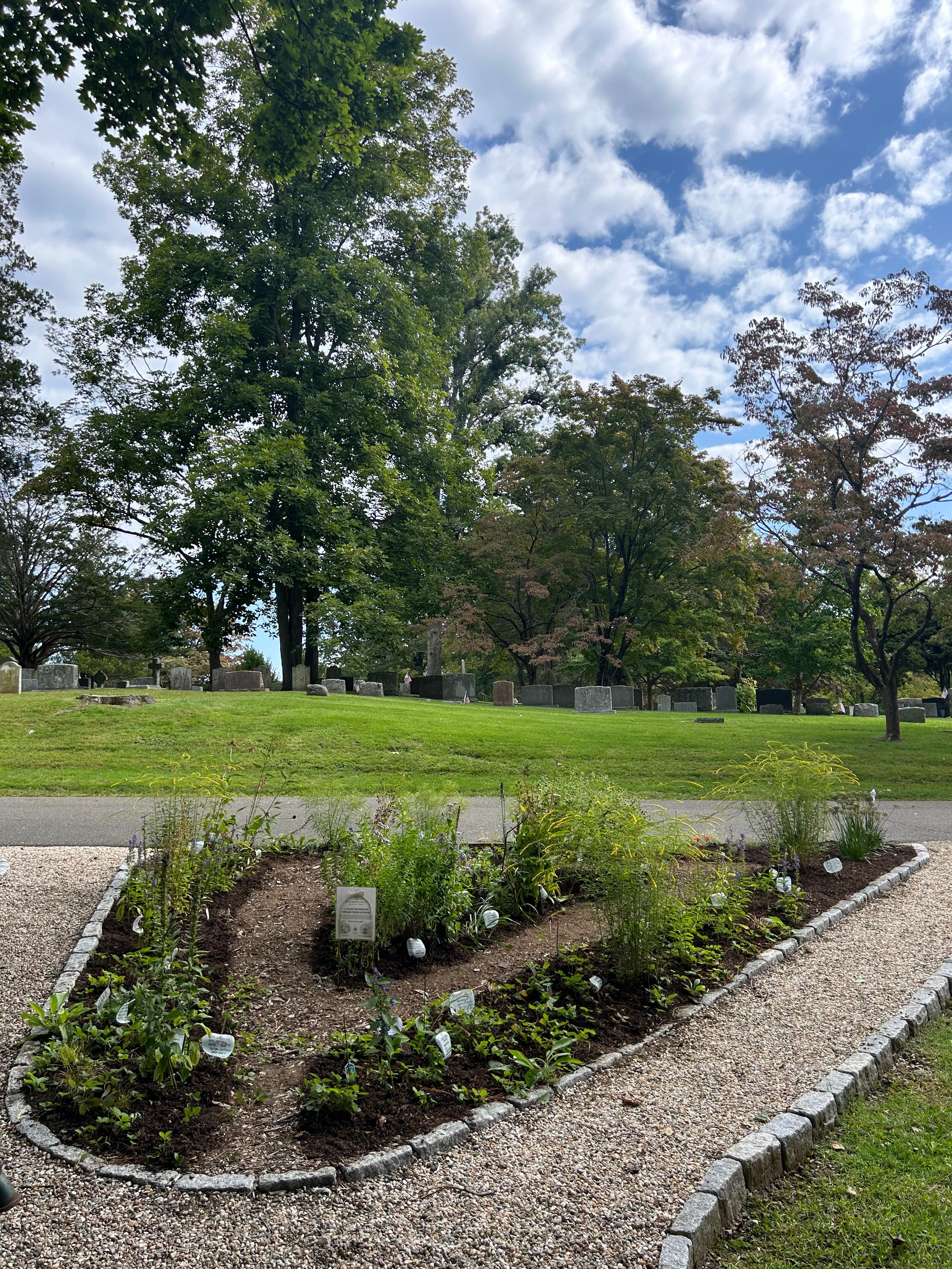 Dedication Ceremony of BEE RESILIENT Garden