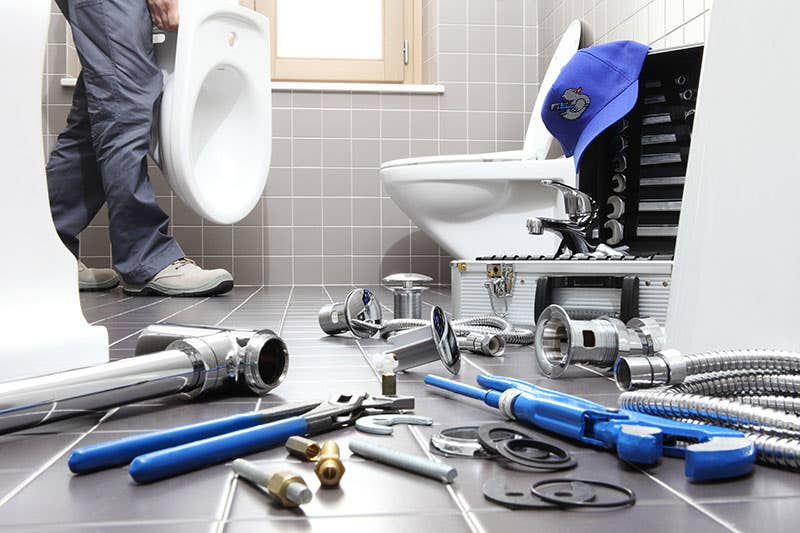 Gray Duck Plumbing