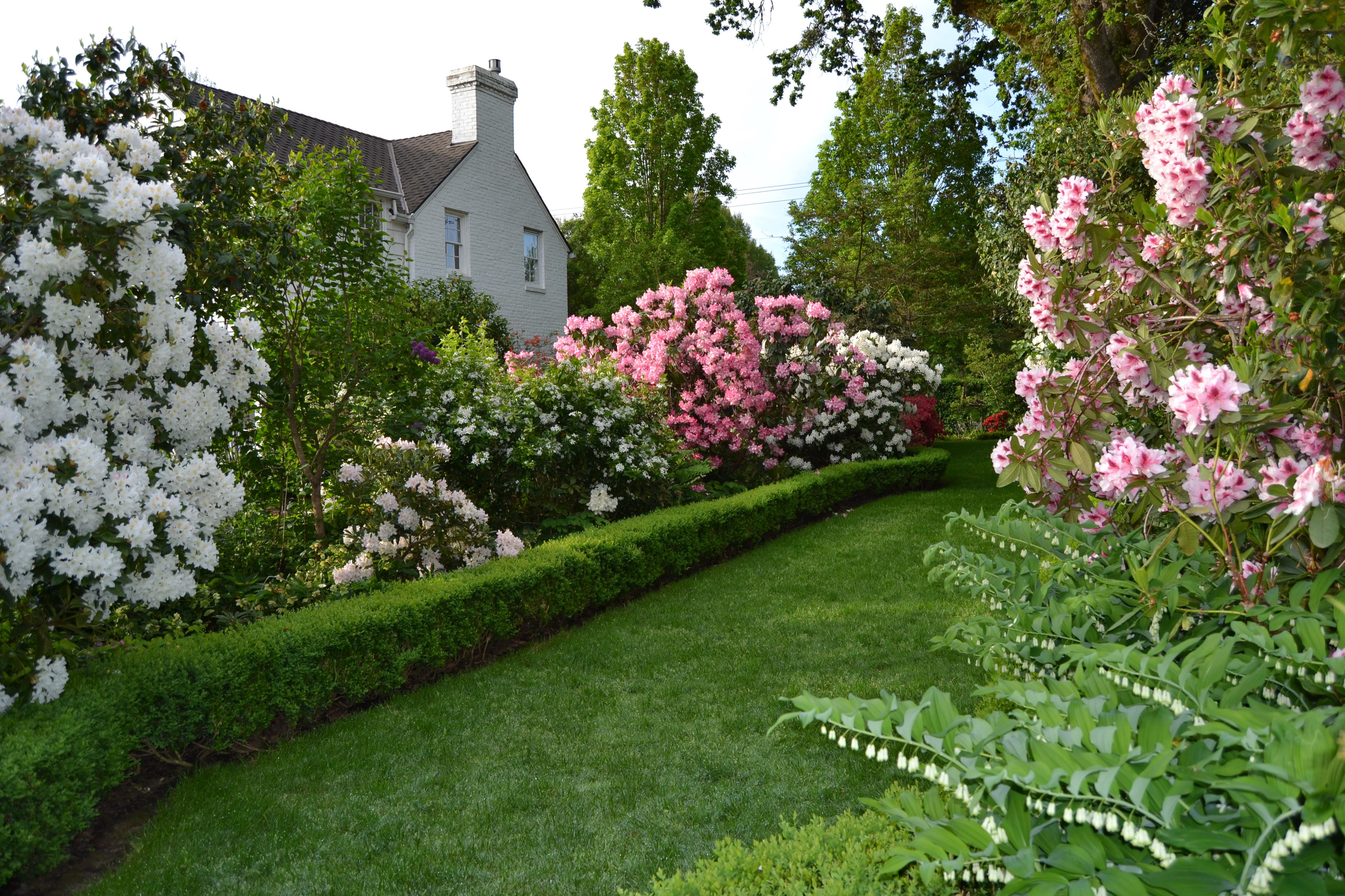 Open Garden at Gaiety Hollow 