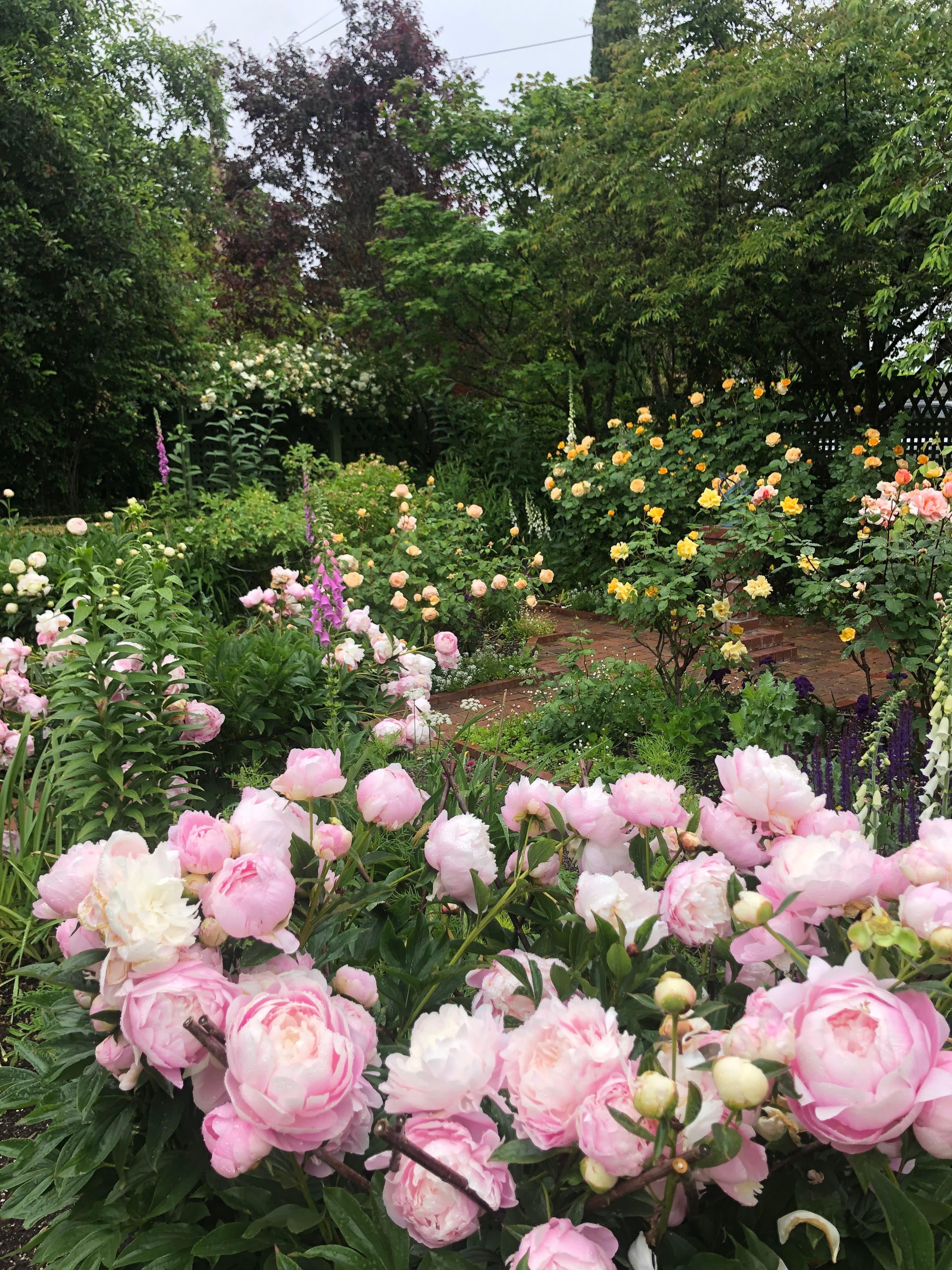 Saturday Open Garden