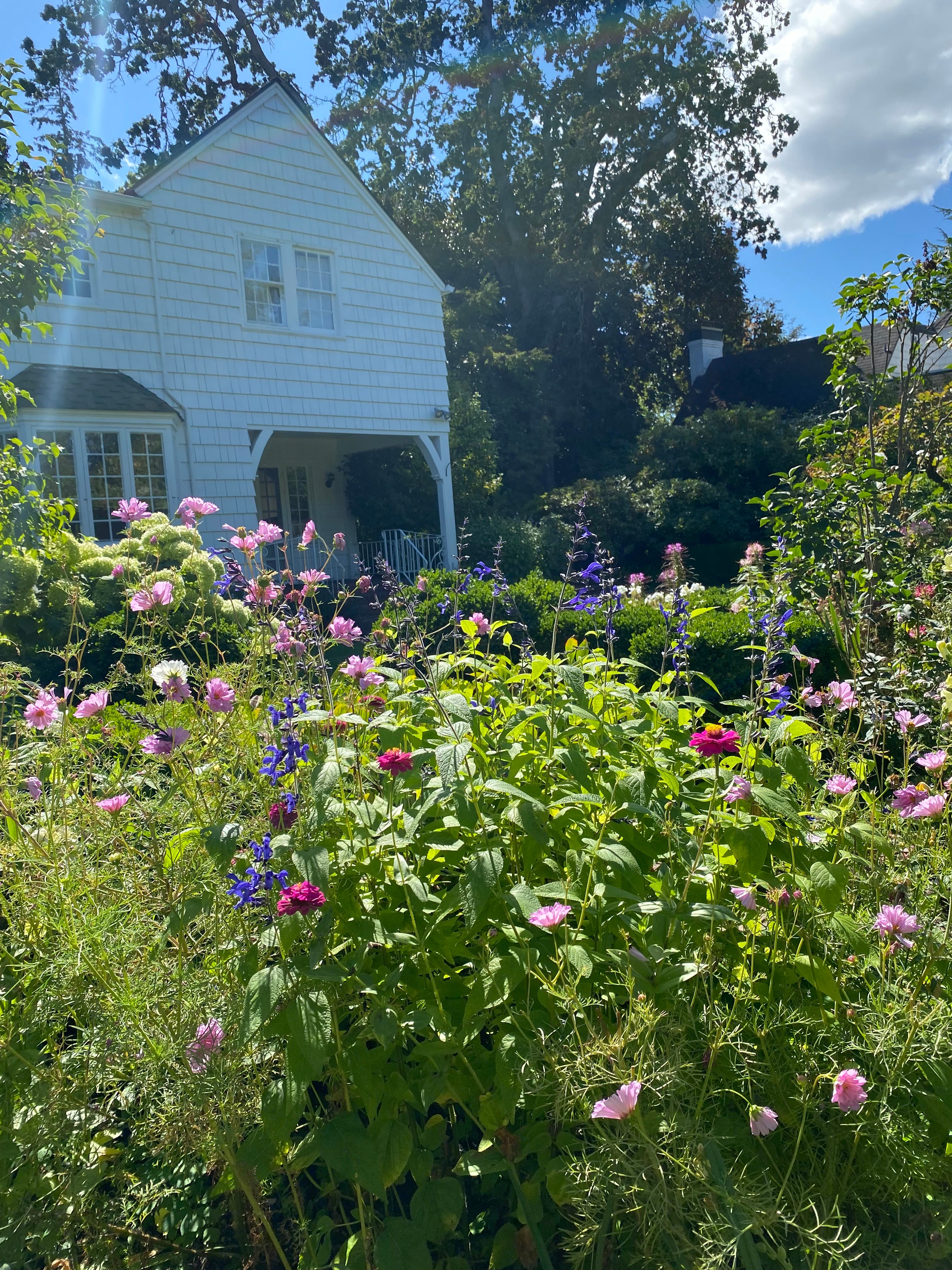 Saturday Open Garden @ Gaiety Hollow