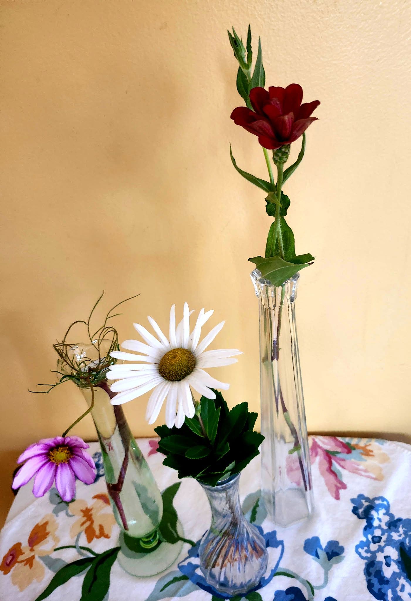 The Secret Language of Flowers  