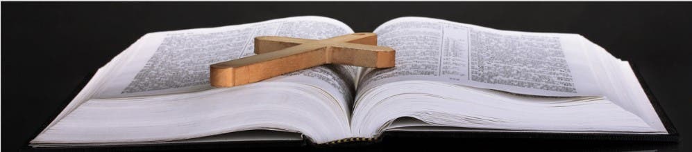 Dive into Bible Study