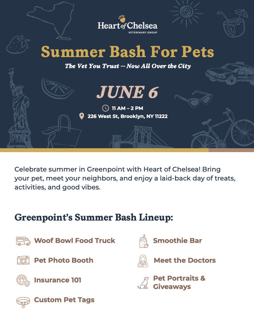 Summer Bash for Pets