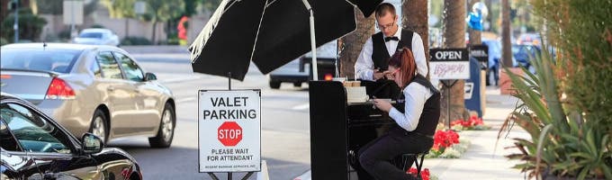 Elite Car Valet, LLC