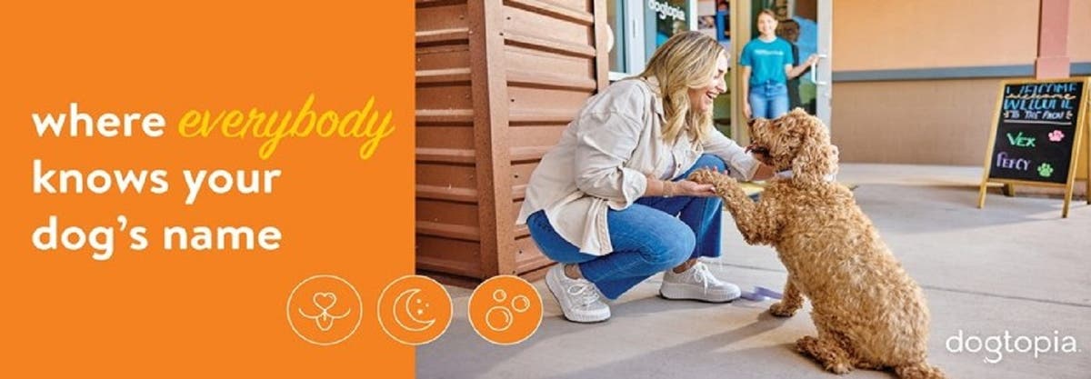 Dogtopia of Harbor Steps