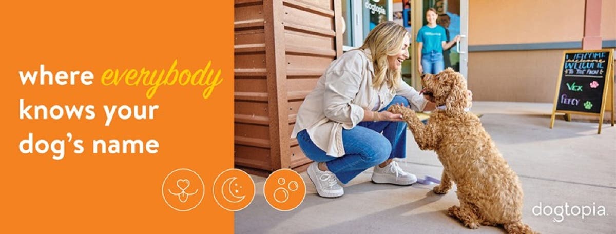 Dogtopia of Hickory Plaza Nashville