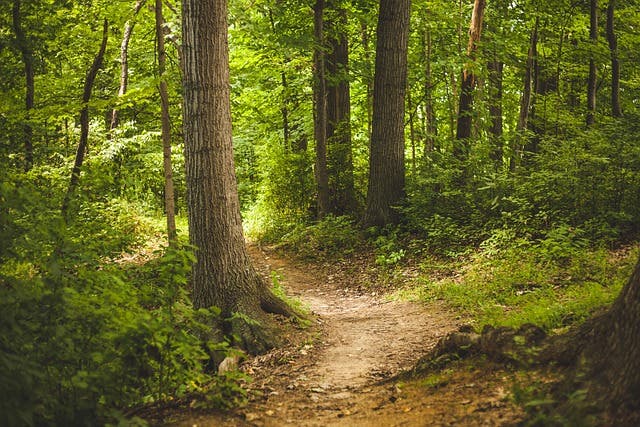 Take a Hike!