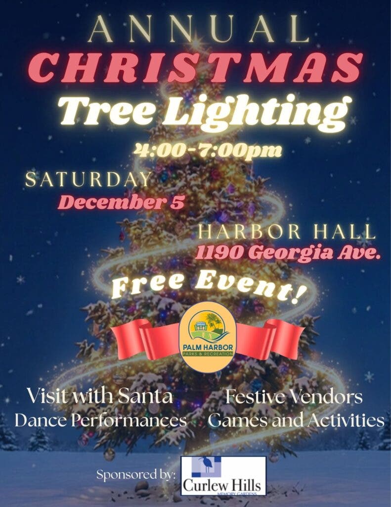 Christmas Tree Lighting