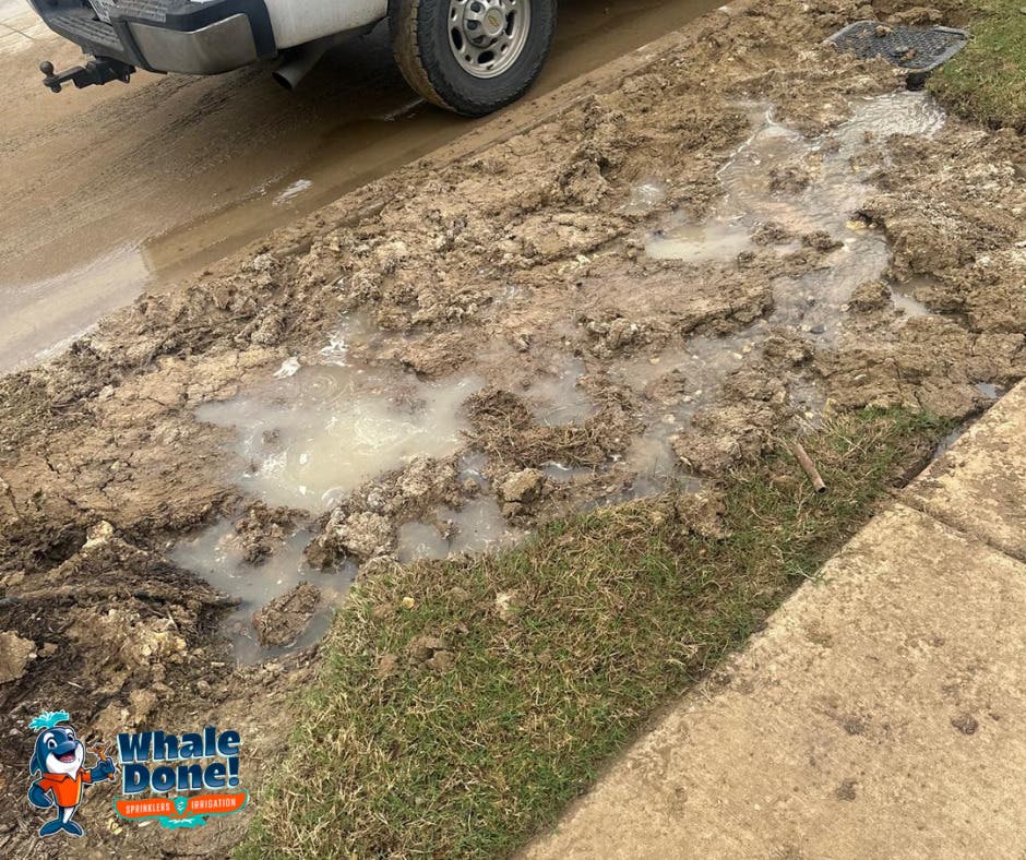 Drip Line Leak & Patch Repair