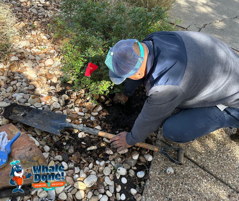 Drip System Repair in Parker, TX 💧🌱