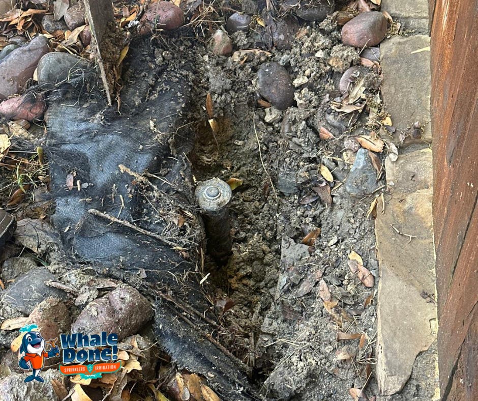 Leak Repair Completed in Prosper – Avoid Costly Water Waste 💧