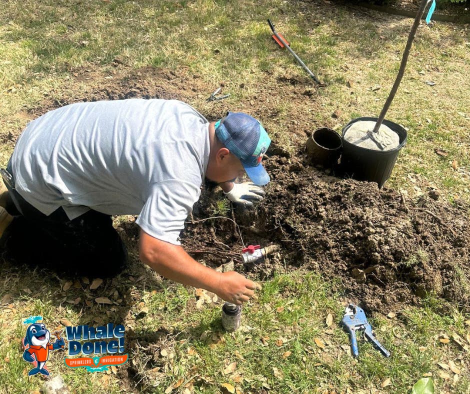 Sprinkler Repair Completed in Prosper 💧