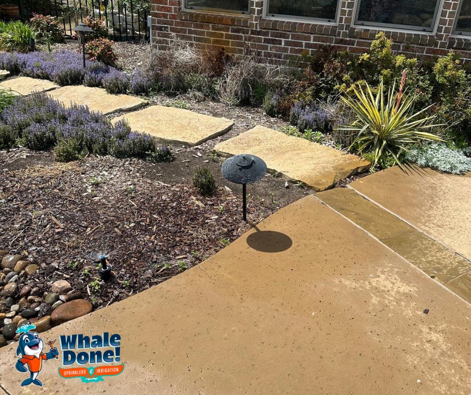 Water Leaking Onto Sidewalk? We Can Help! 💧